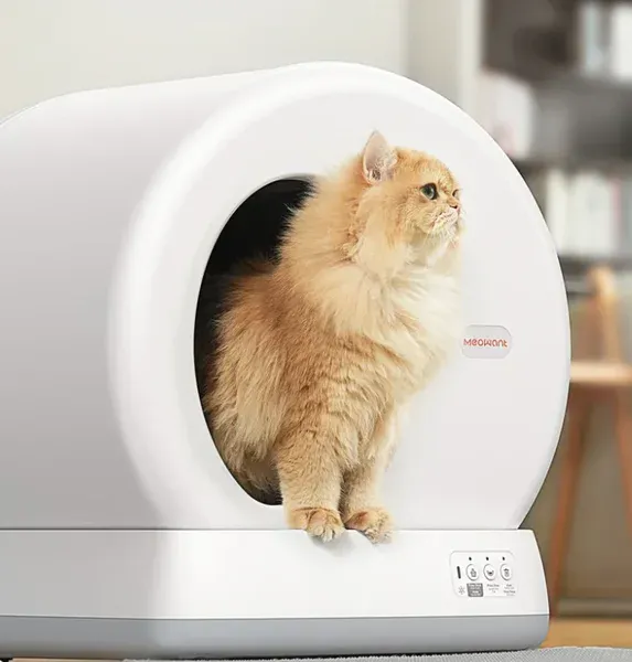 MeoWant — product detail