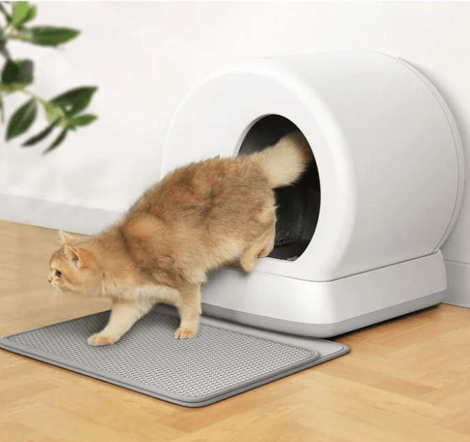 MeoWant — lifestyle